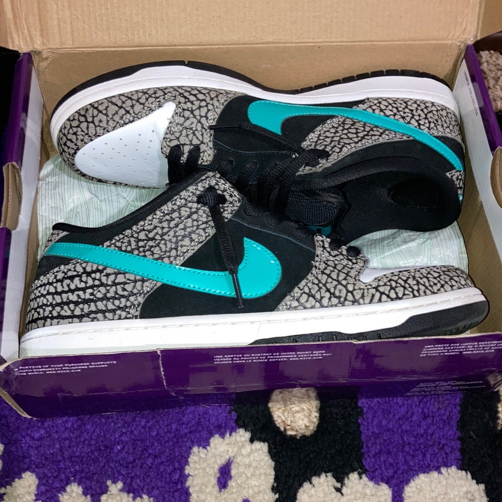 Nike SB dunk lows